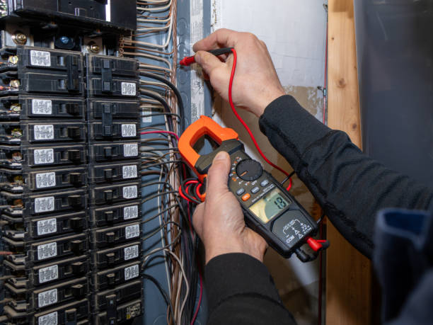 Best Affordable Electrician  in Owosso, MI